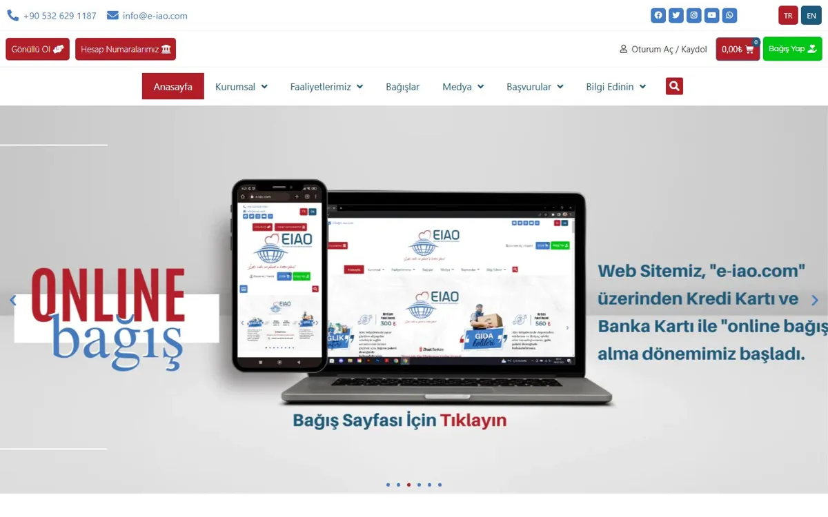 EIAO web sitesinin masaüstü anasayfa görünümü