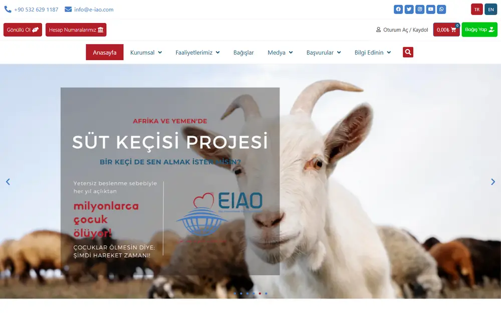 E-IAO uluslararası yardım derneği web sitesinin masaüstü ana sayfası